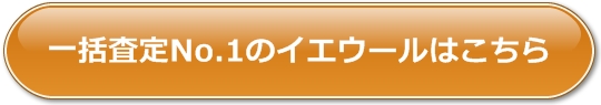 ꊇNo.1̃CGE[͂